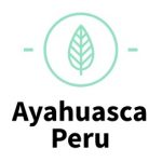 ayahuasca1