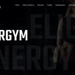 energymes