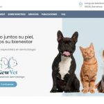 ivdnewvet