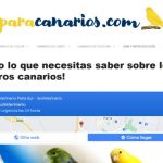 paracanarios