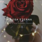 rosaeterna