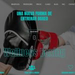 virtualboxingg